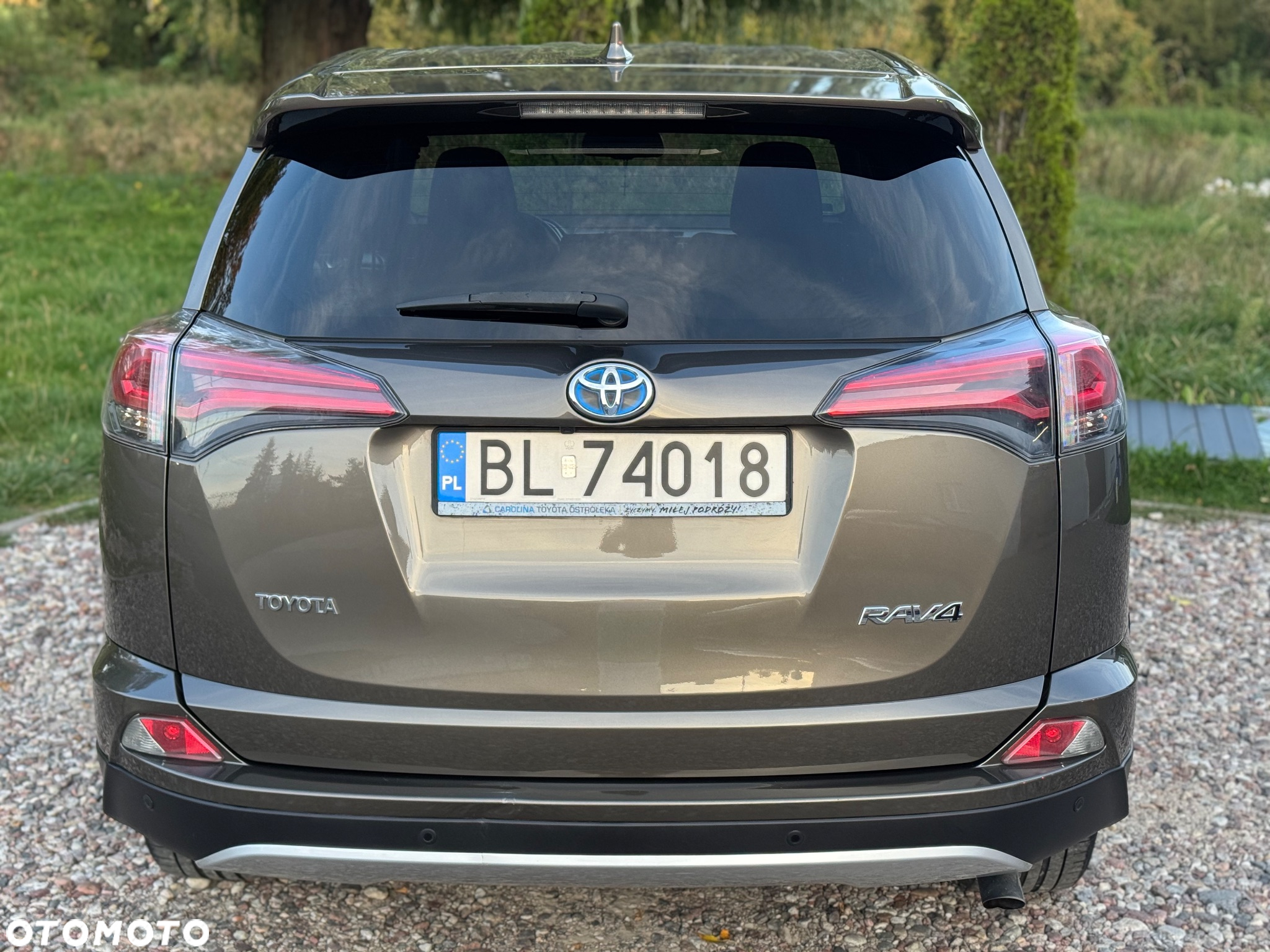 Toyota RAV4 Hybrid Prestige 4x4 - 10