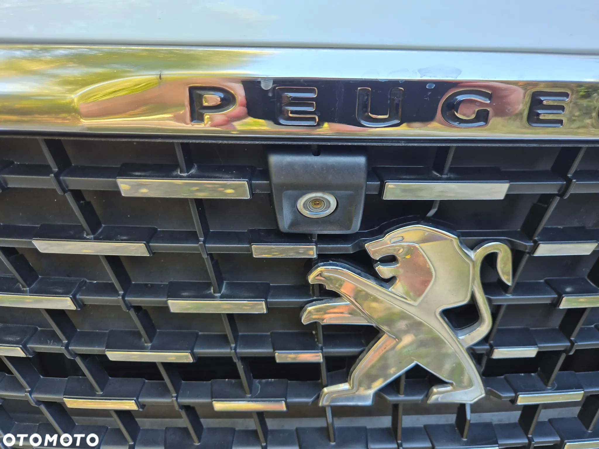 Peugeot 3008 - 13