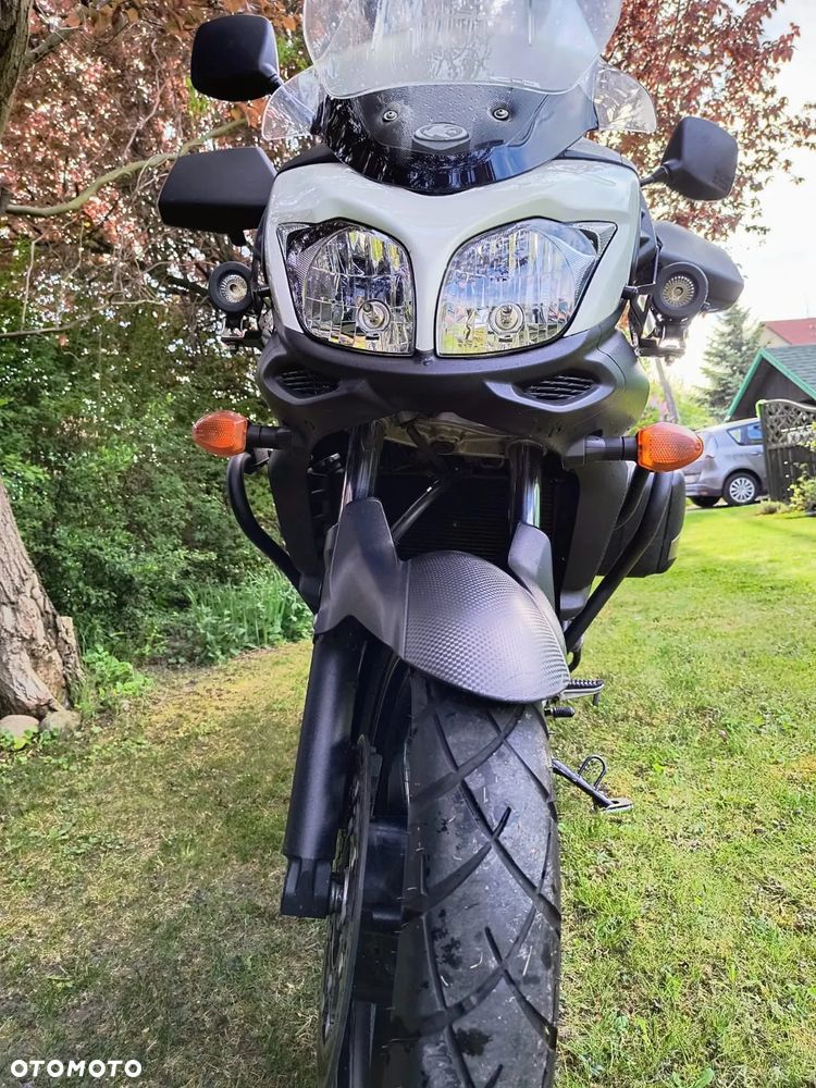 Suzuki DL - 8