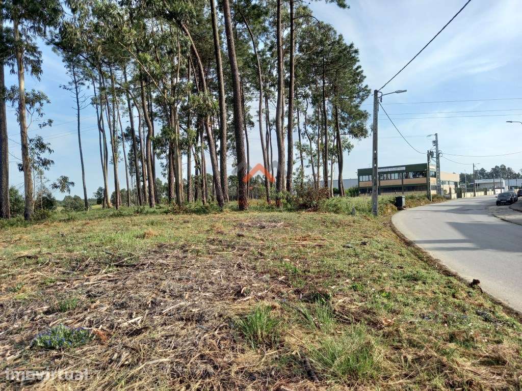 Terreno para urbanização em Passadouro ( Nariz ) - Grande imagem: 4/16