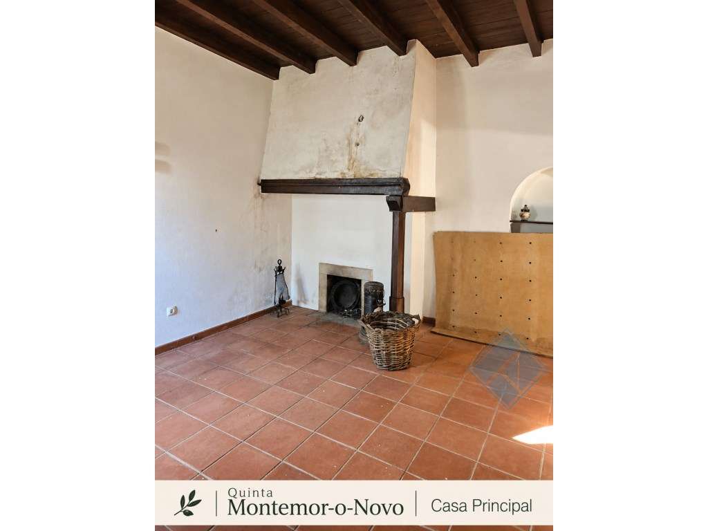 Quinta no Alentejo com 4,6 ha | Moradia com 5 Quartos, 3 Suites, Pi... - Grande imagem: 5/33