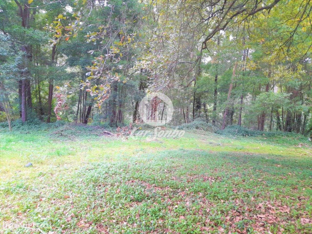 Moradia M5 c/3.100m2 área total em Cruz, VNF - Grande imagem: 3/3