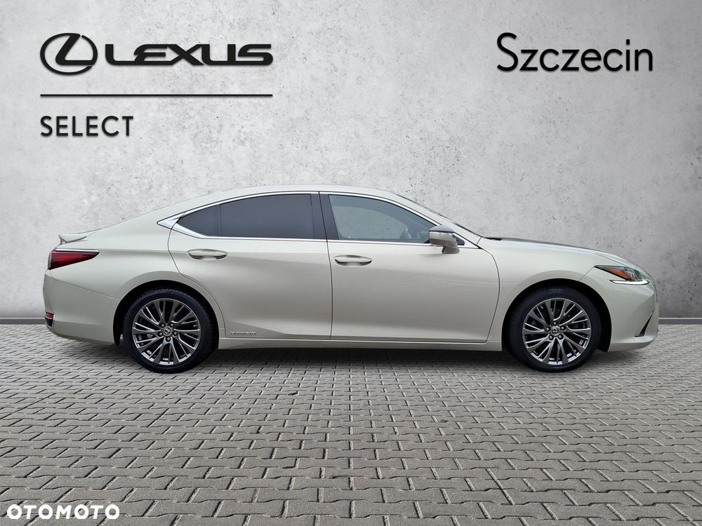 Lexus ES 300h Omotenashi - 4