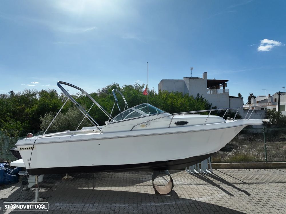 Pro-Line 220 Cuddy Fish - 10