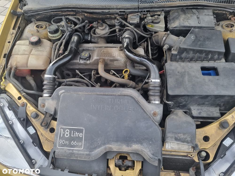 Ford Focus - 16