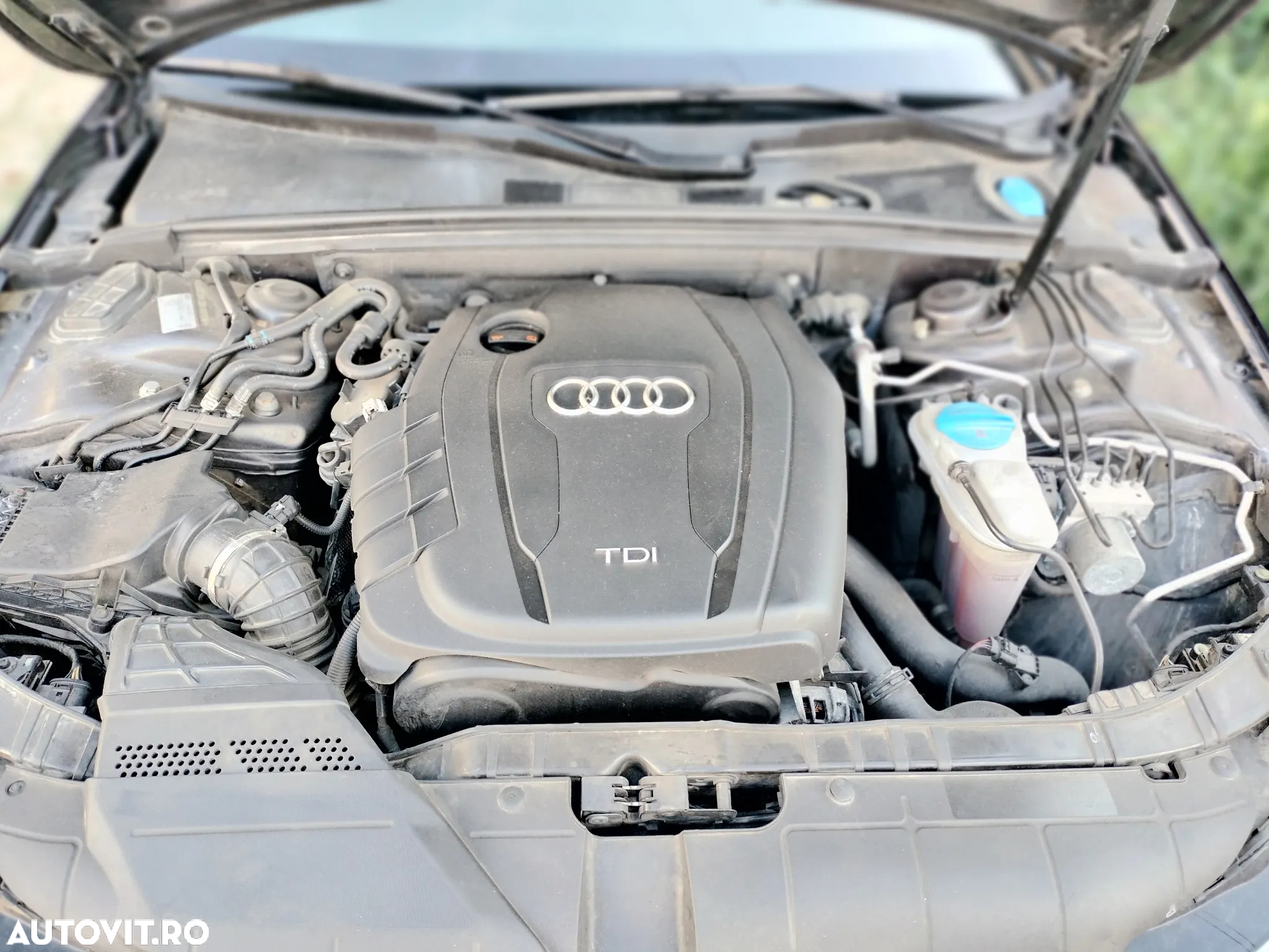 Audi A4 - 18