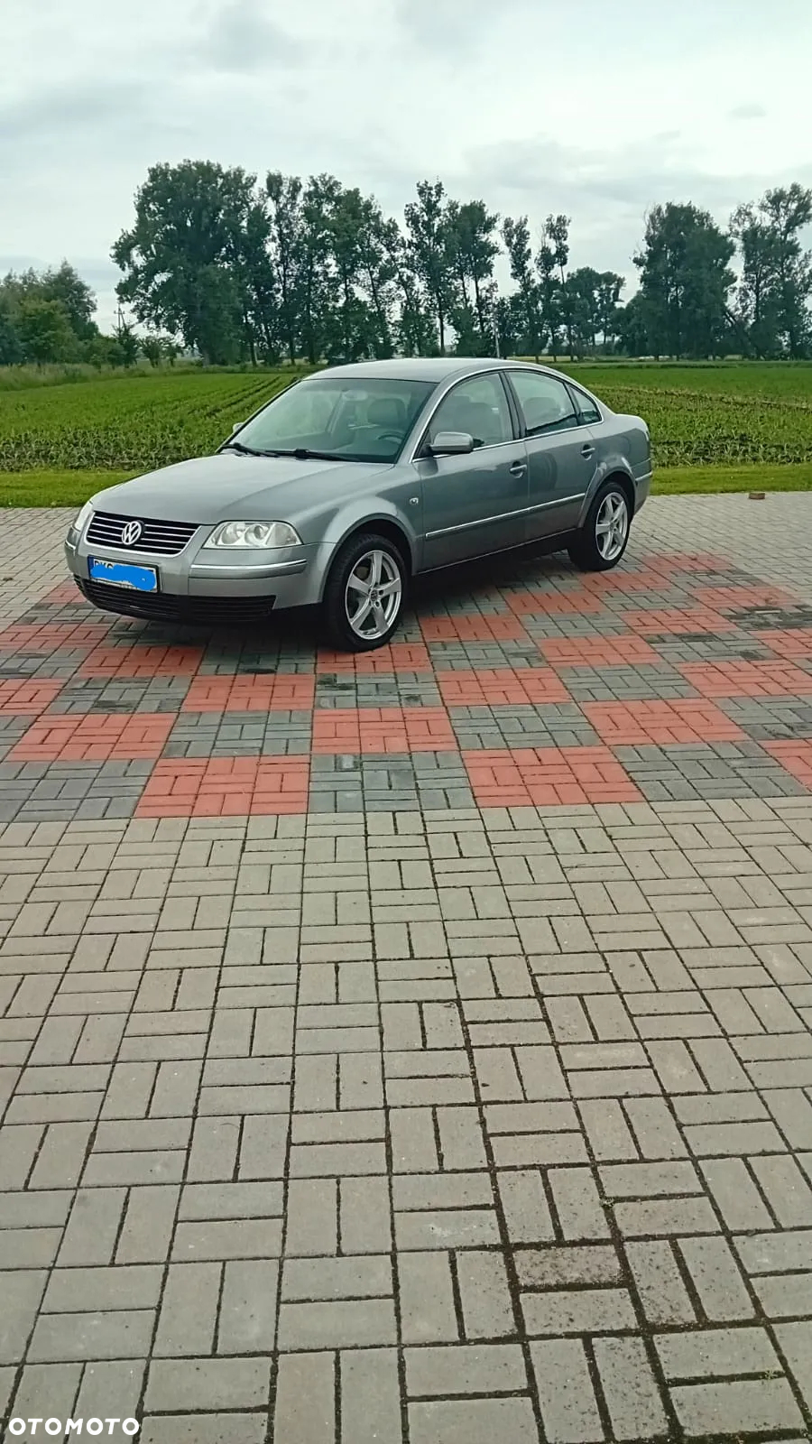 Volkswagen Passat - 2