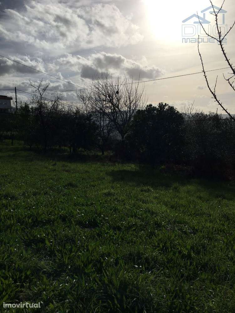 Terreno em Souselo - Cinfães - Grande imagem: 2/7