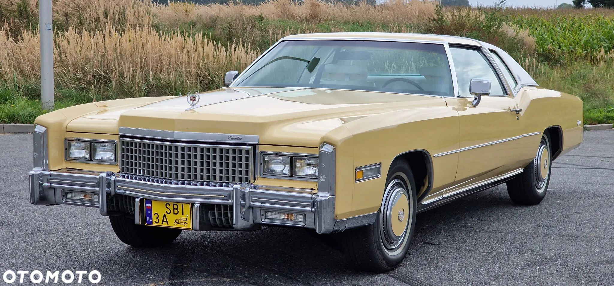 Cadillac Eldorado - 1