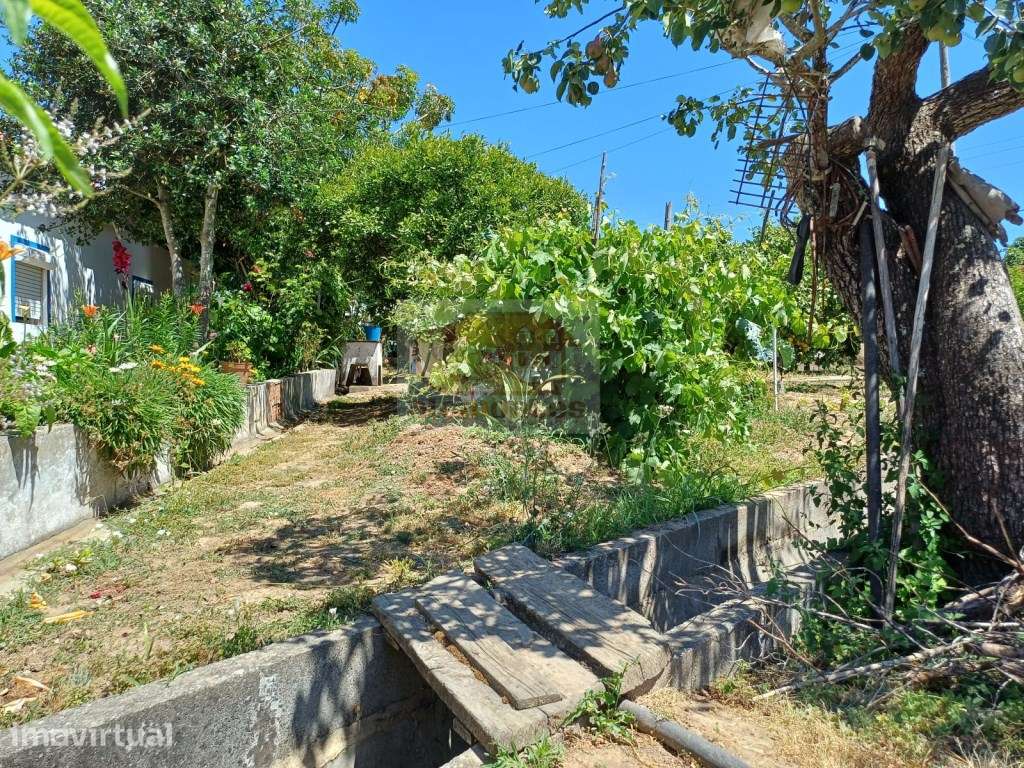 Casa antiga com jardim para renovar - Melides - Grande imagem: 4/19