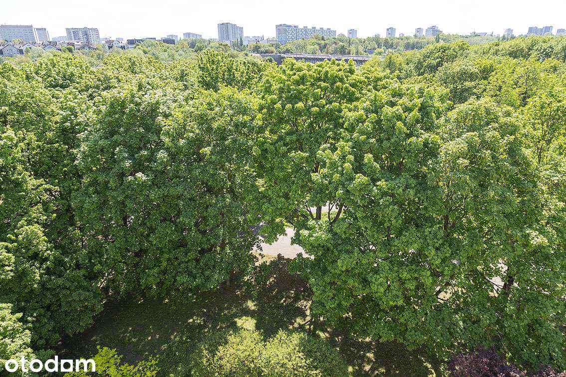 PRZESTRONNY APARTAMENT Z BEZPOŚREDNIM WIDOKIEM NA WARTĘ - GALILEO