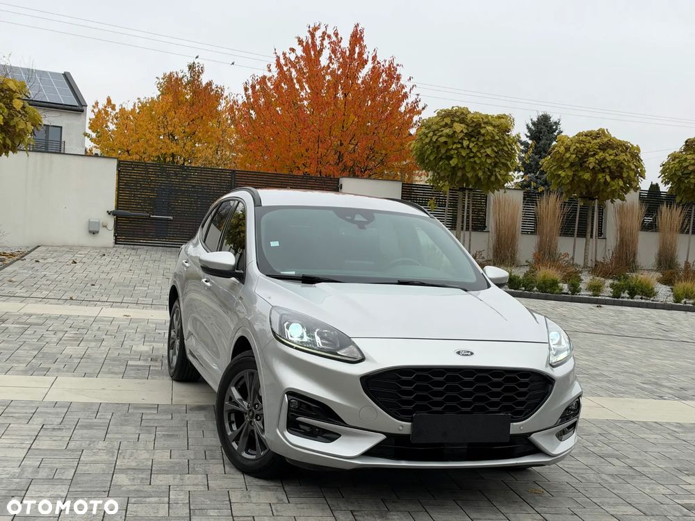 Ford Kuga 2020 photo 2
