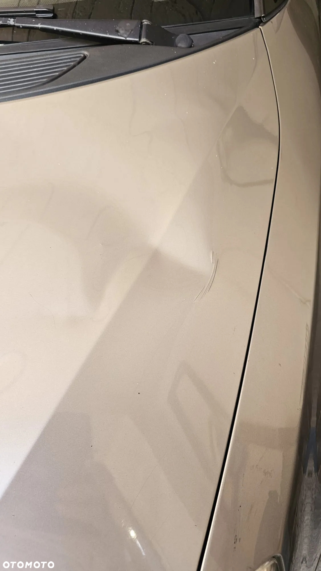 Skoda Fabia 1.9 TDI PD DPF Elegance - 10