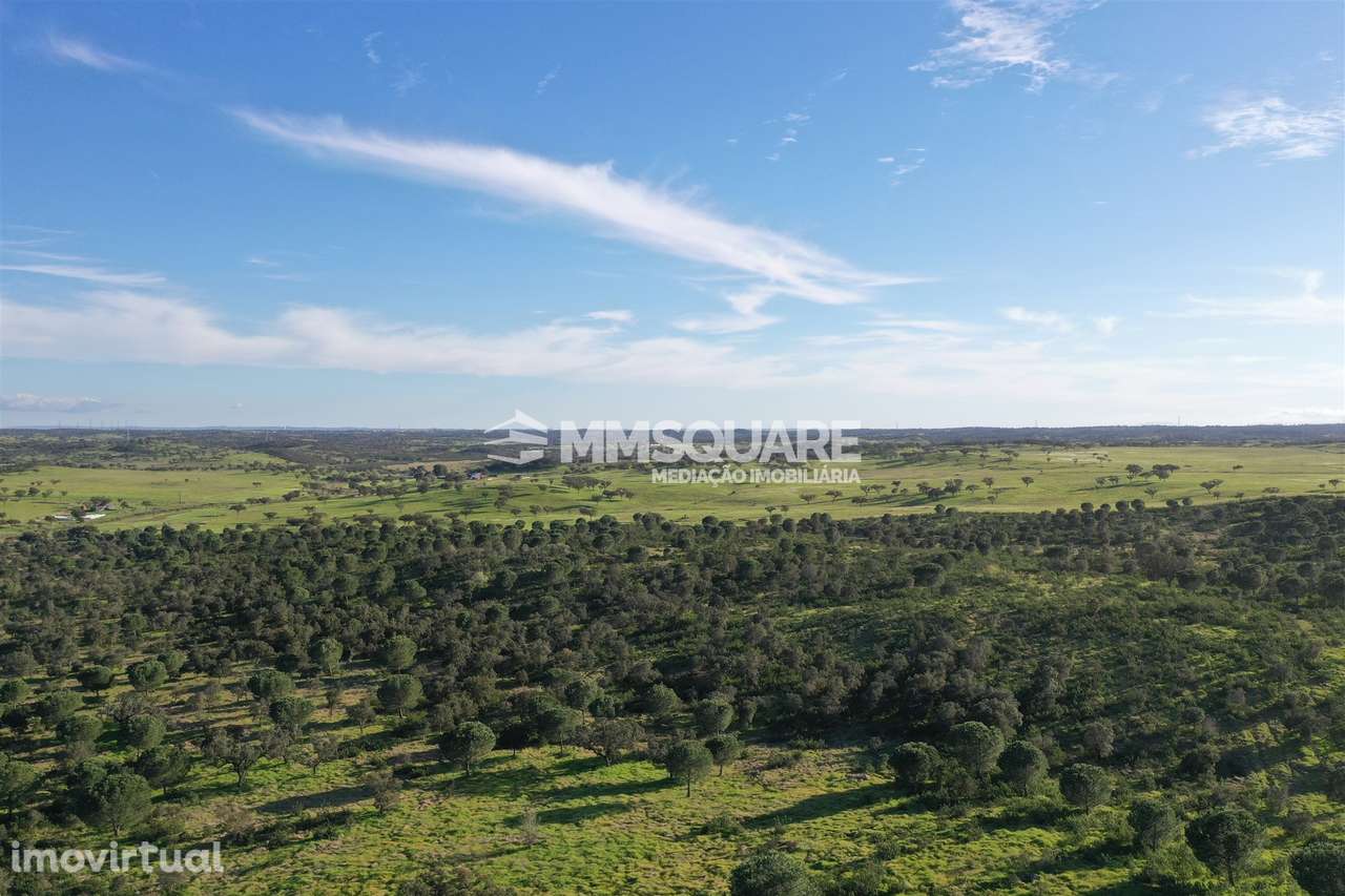 Herdade em Ourique - Grande imagem: 3/55