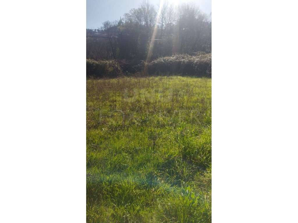 Terreno Agrícola em Gondomil- Valença - Grande imagem: 2/4