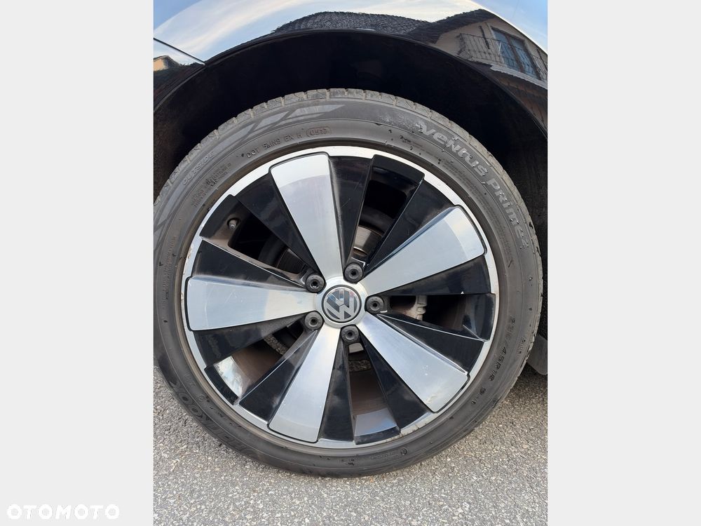 Volkswagen Beetle - 29
