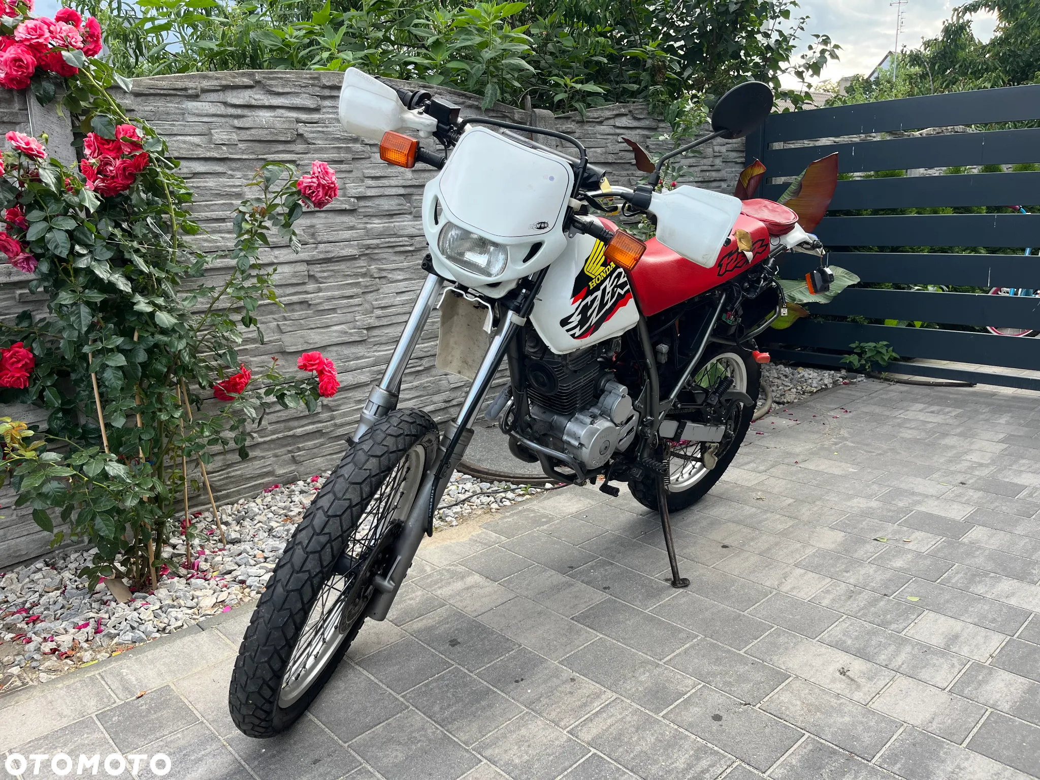 Honda XLR