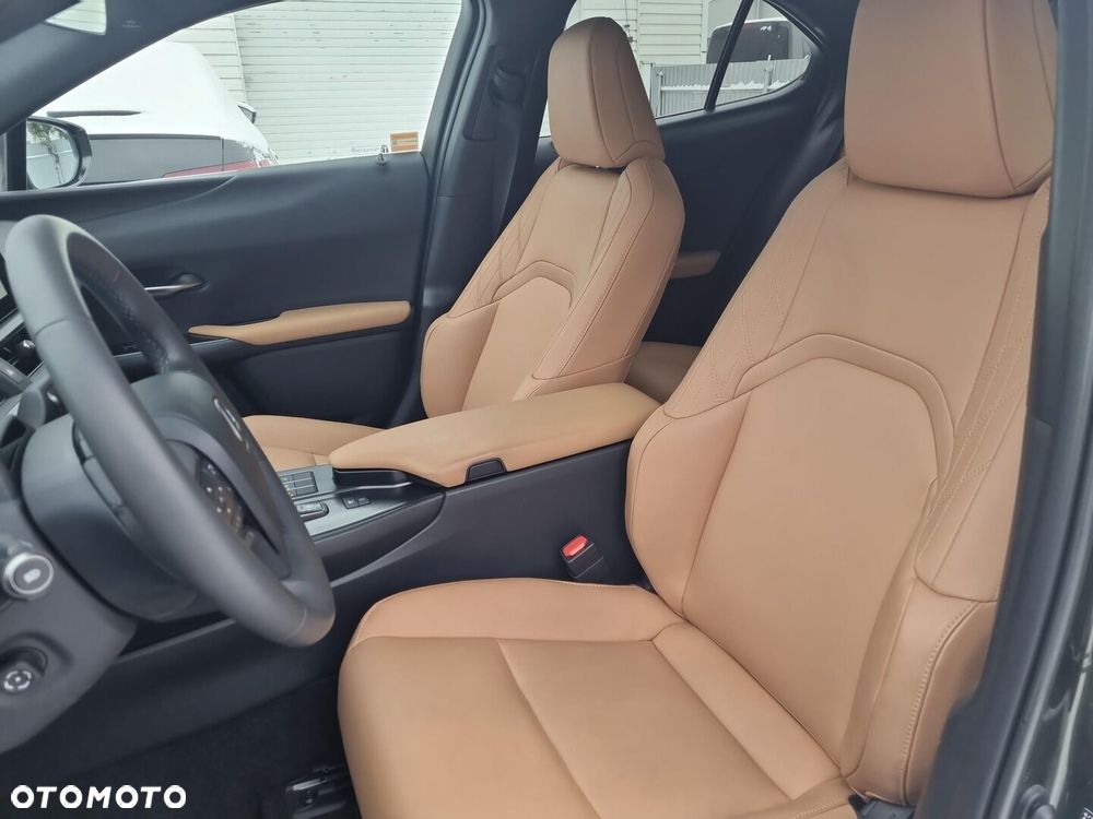 Lexus UX 300h F Sport Design - 16