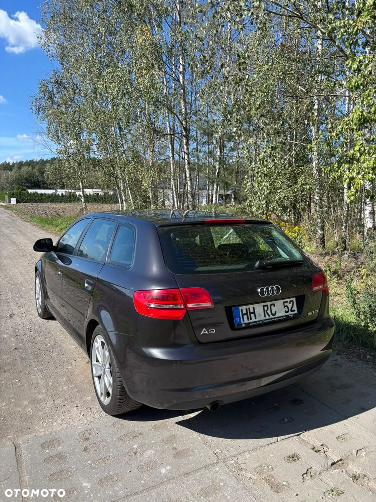 Audi A3 Sportback 1.6 TDI DPF Attraction - 2