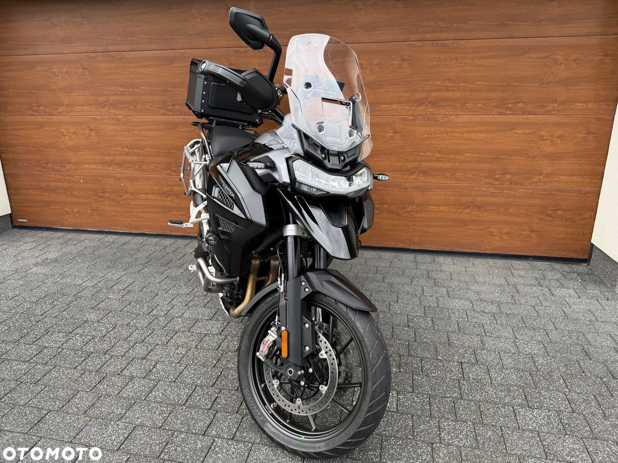 Triumph Tiger - 7