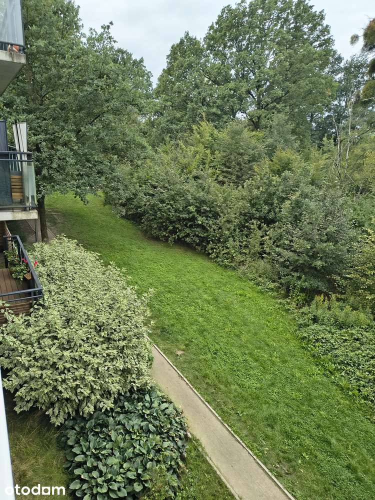 DO WYNAJĘCIA 3 POKOJE STABŁOWICE