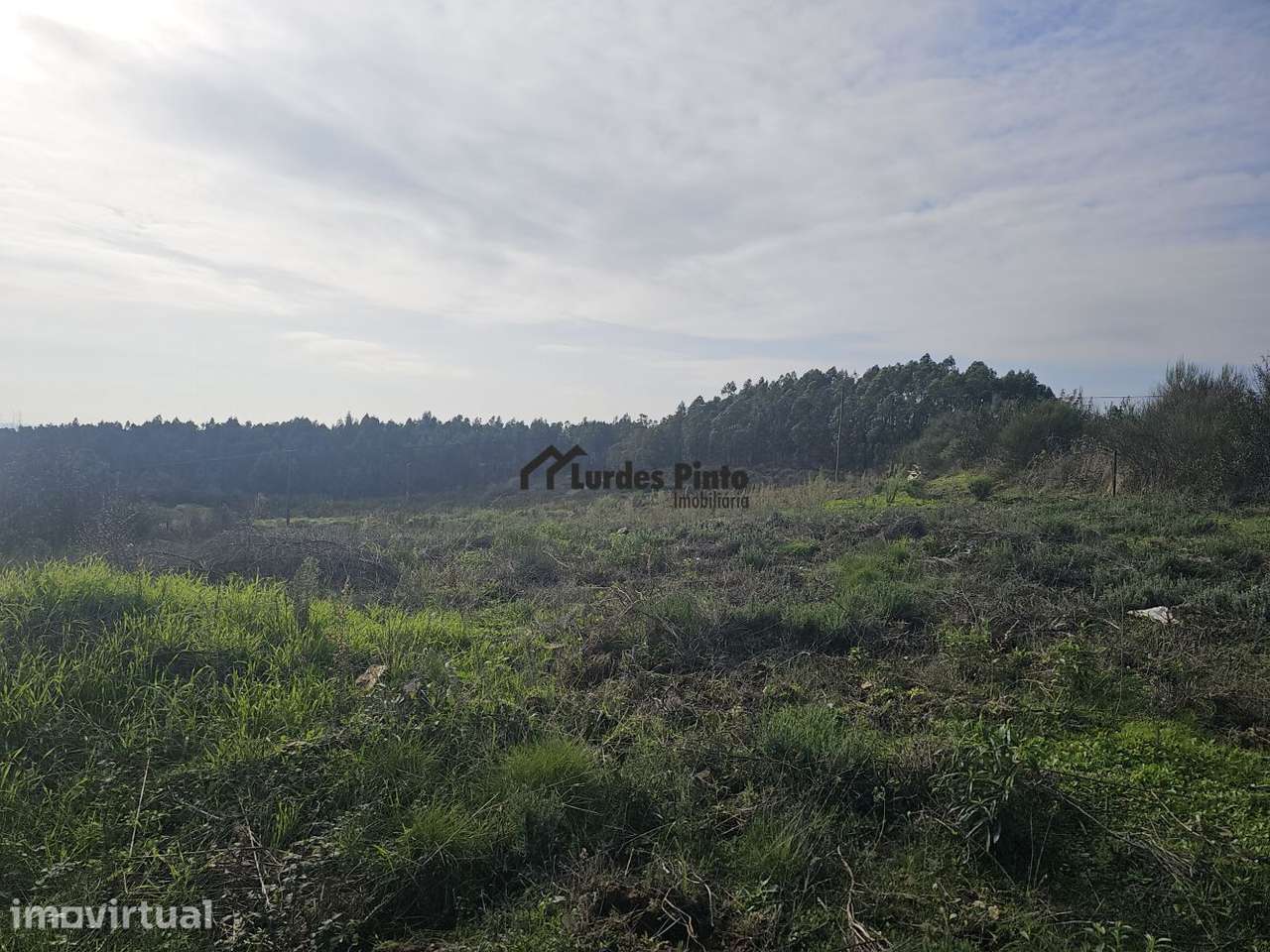Lote para casa móvel - Grande imagem: 3/8