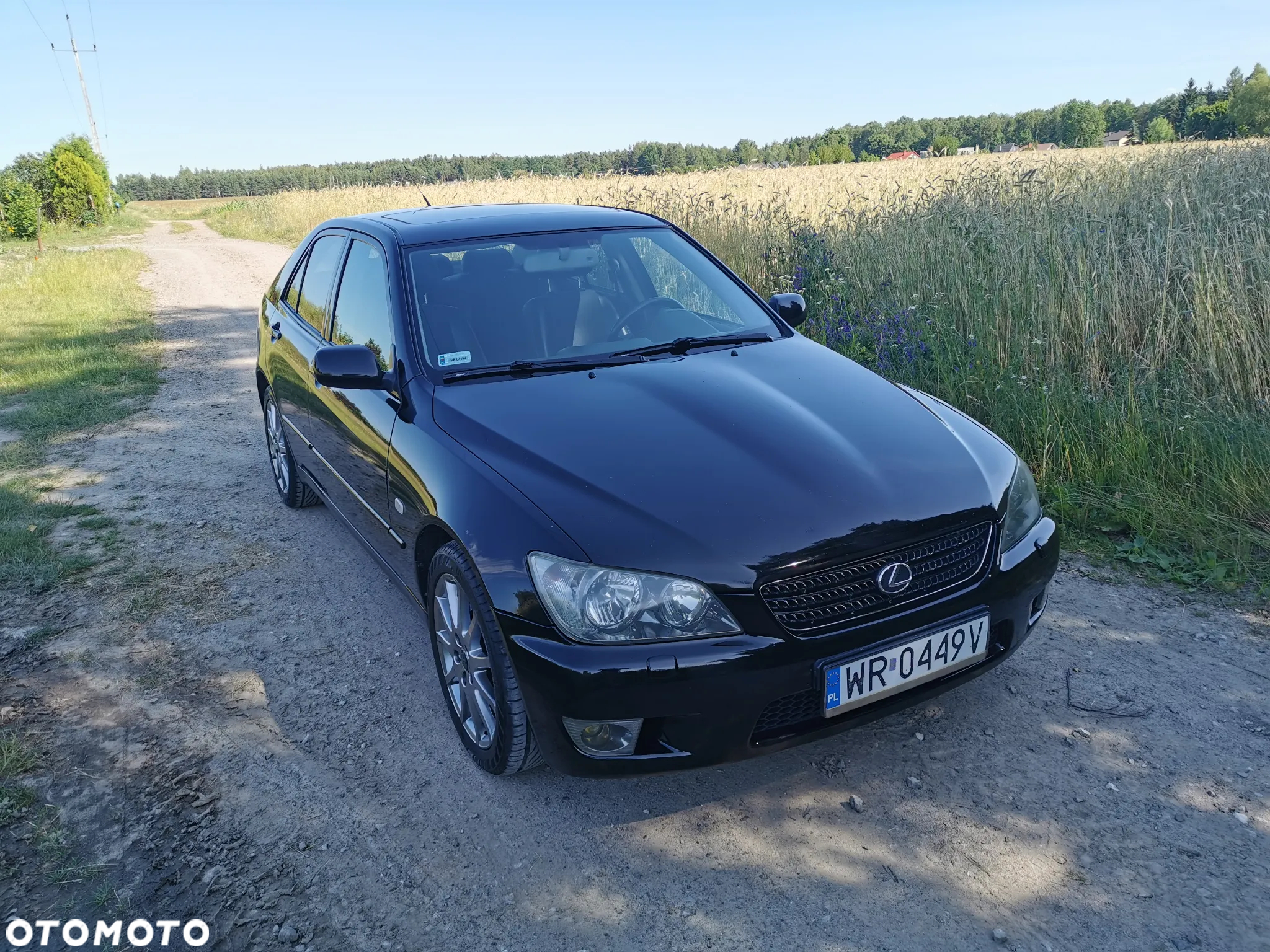 Lexus IS 300 Prestige - 12