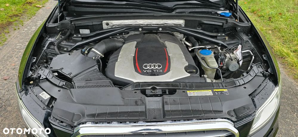 Audi SQ5 3.0 TDI Quattro Tiptronic EU6 - 13