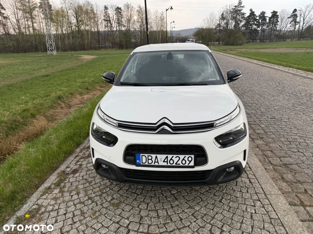 Citroën C4 Cactus 1.2 PureTech GPF Shine S&S EAT6 - 8