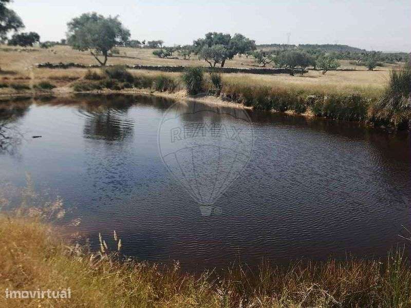 Terreno Rústico com área de 22.000m2 (2,2 ha) - Grande imagem: 2/7