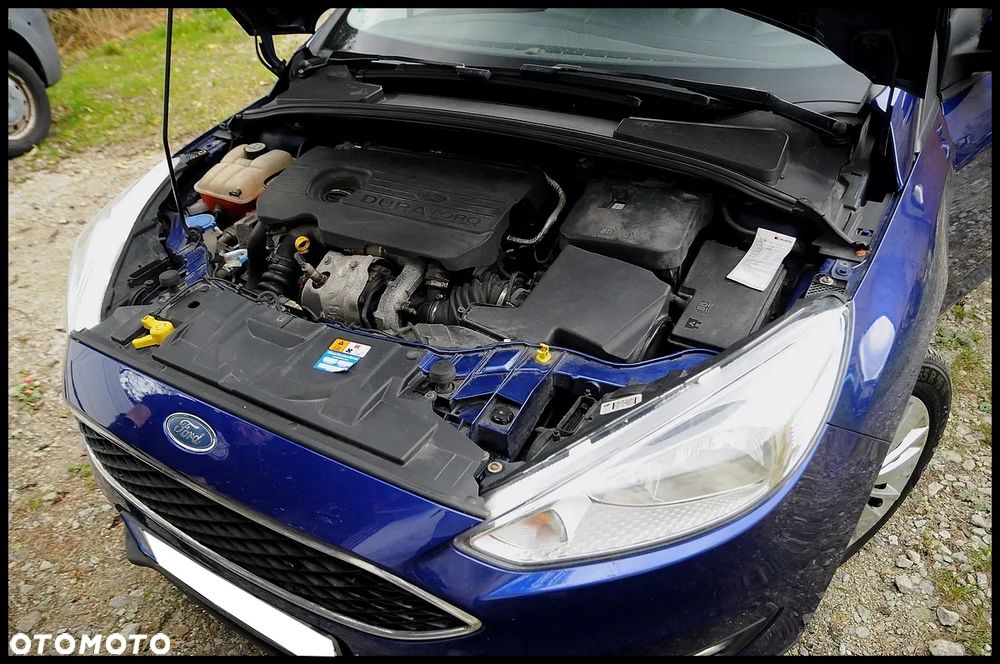 Ford Focus - 22