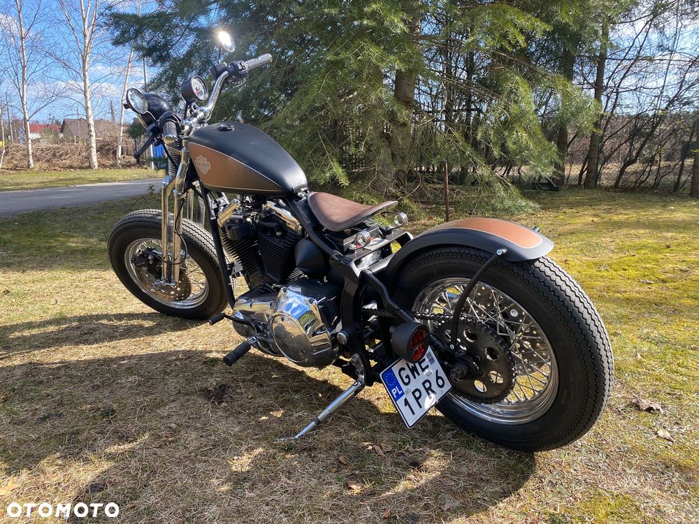 Harley-Davidson Inny - 11