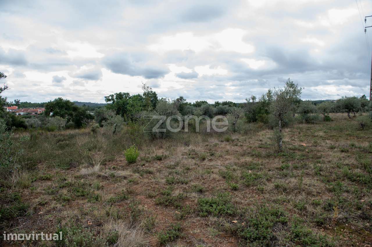 Terreno Rústico com 12.120 m² em Freixial do Campo - Castelo Branco - Grande imagem: 5/22