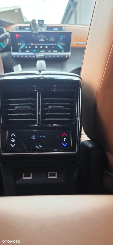 DS Automobiles DS 7 - 20