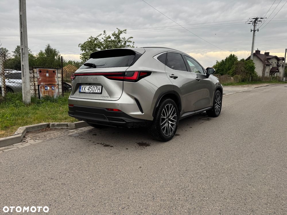 Lexus NX 350h Omotenashi AWD - 5