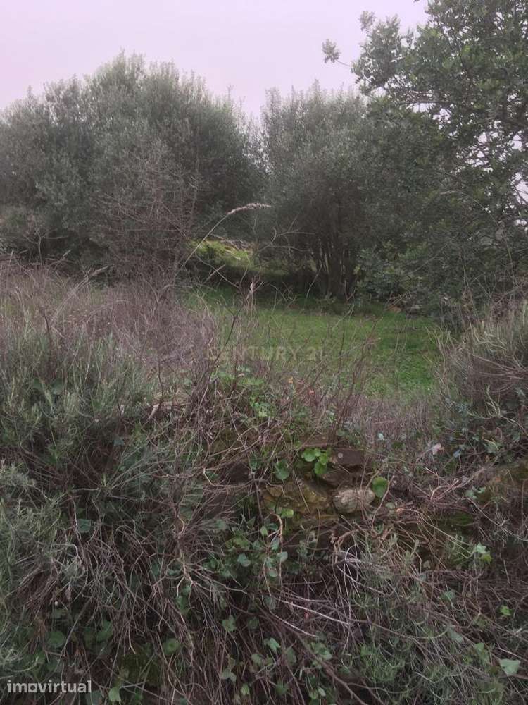 Terreno Urbano em São Barnabé - Grande imagem: 3/4