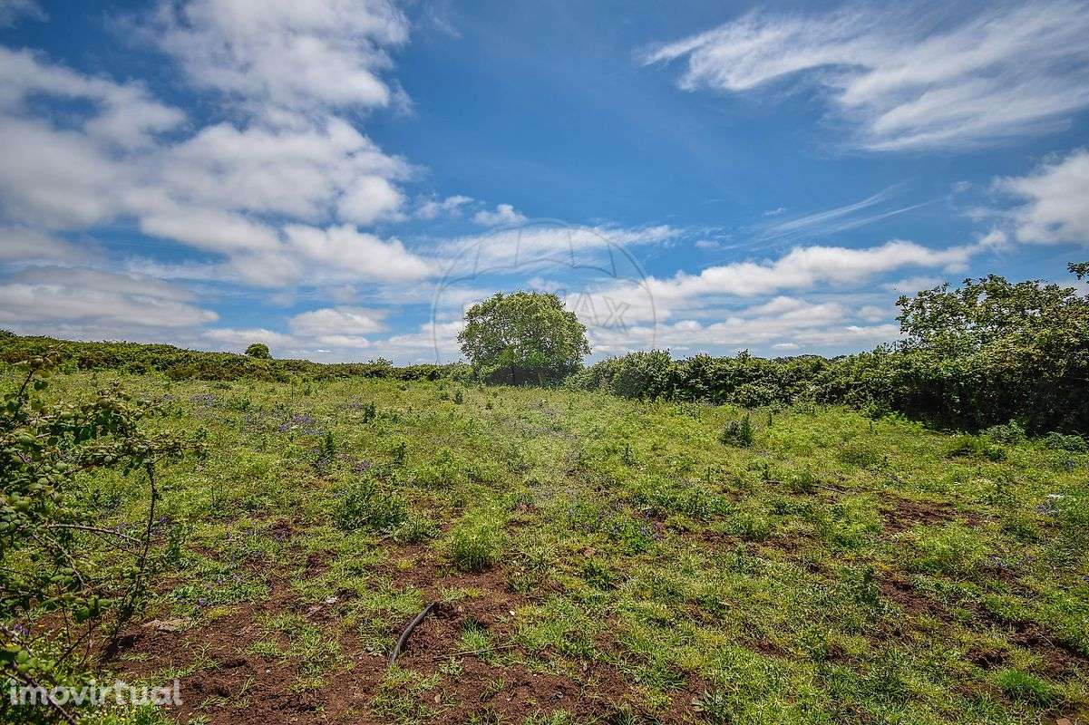 Terreno  para venda - Grande imagem: 4/14