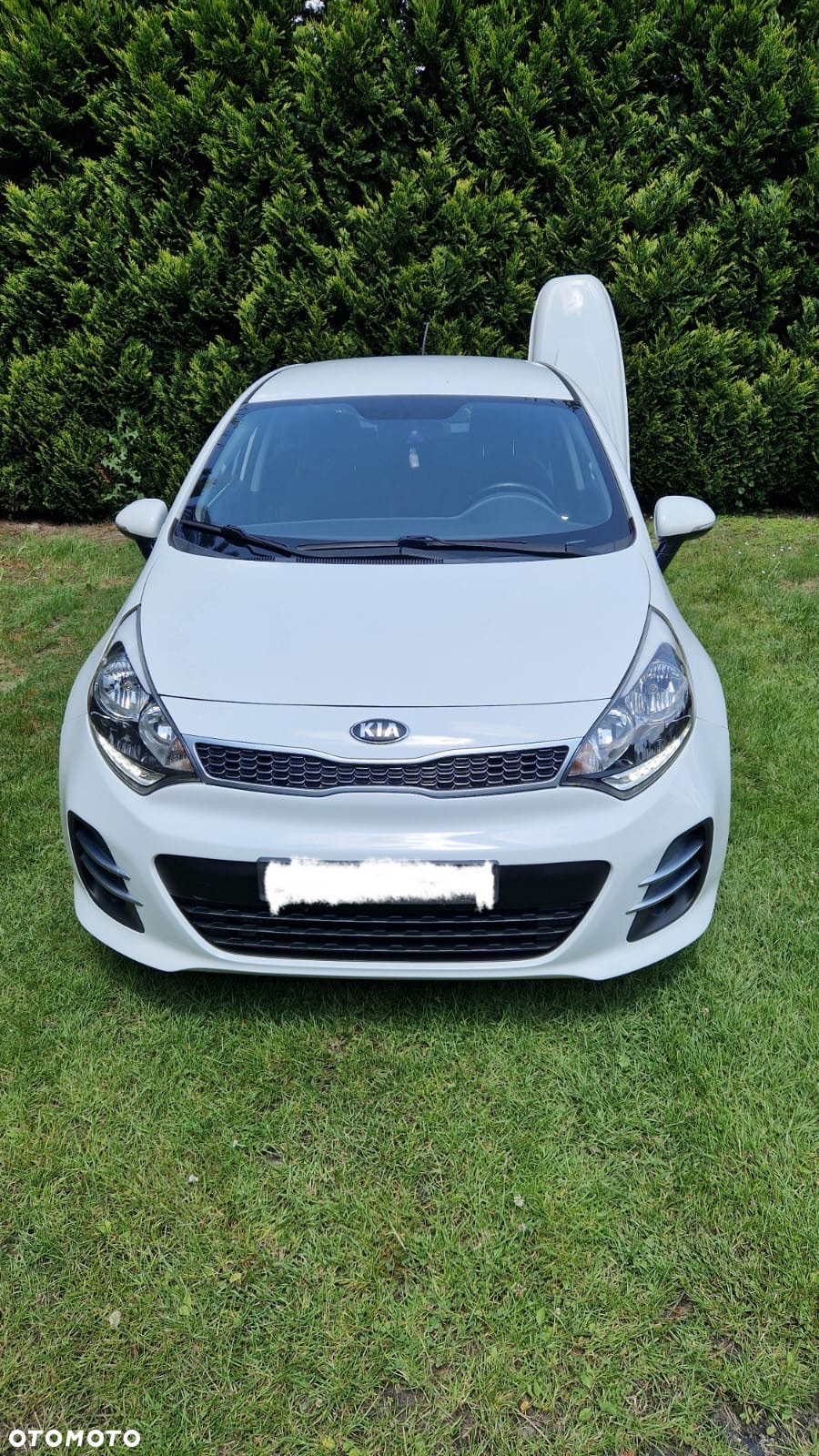 Kia Rio 1.4 Dream Team Edition - 6