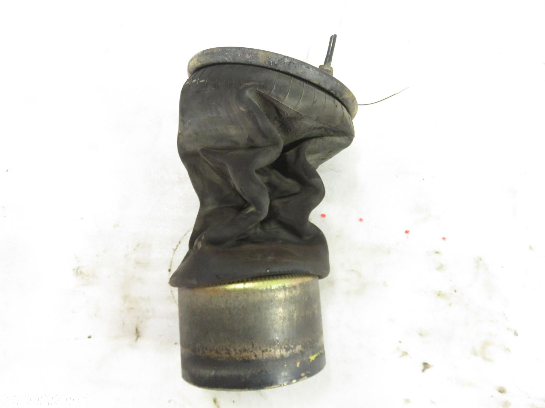 MIECH MAN TGX I 81436006035 - 11