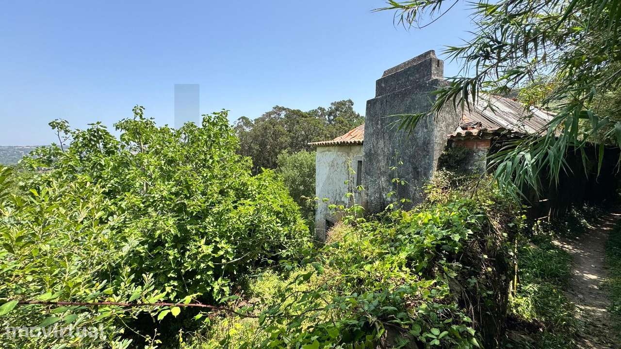 Quinta dos Sussurros — refúgio em Colares com riacho, cascatas e vista - Grande imagem: 3/46