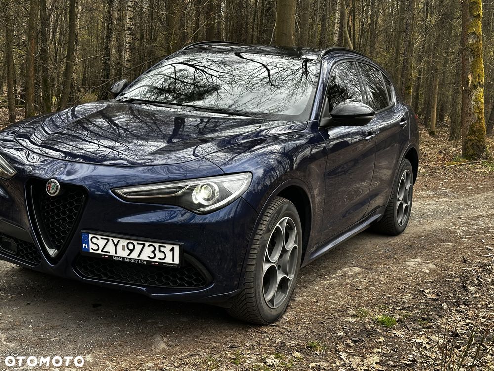Alfa Romeo Stelvio 2.0 Turbo Super Q4 - 2