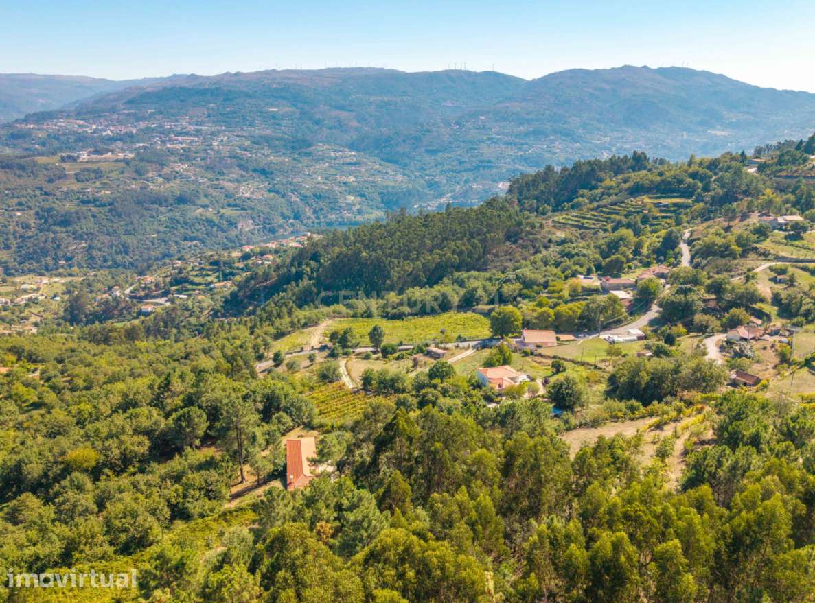 Monte em Paços de Gaiolo – Natureza, tranquilidade e potencial agrícol - Grande imagem: 4/9