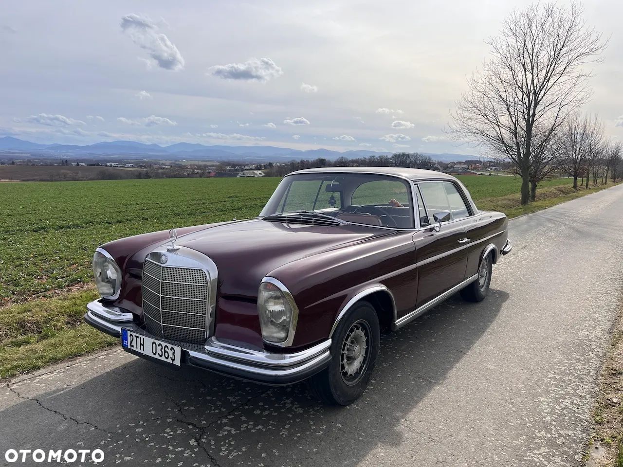 Mercedes-Benz Inny - 1