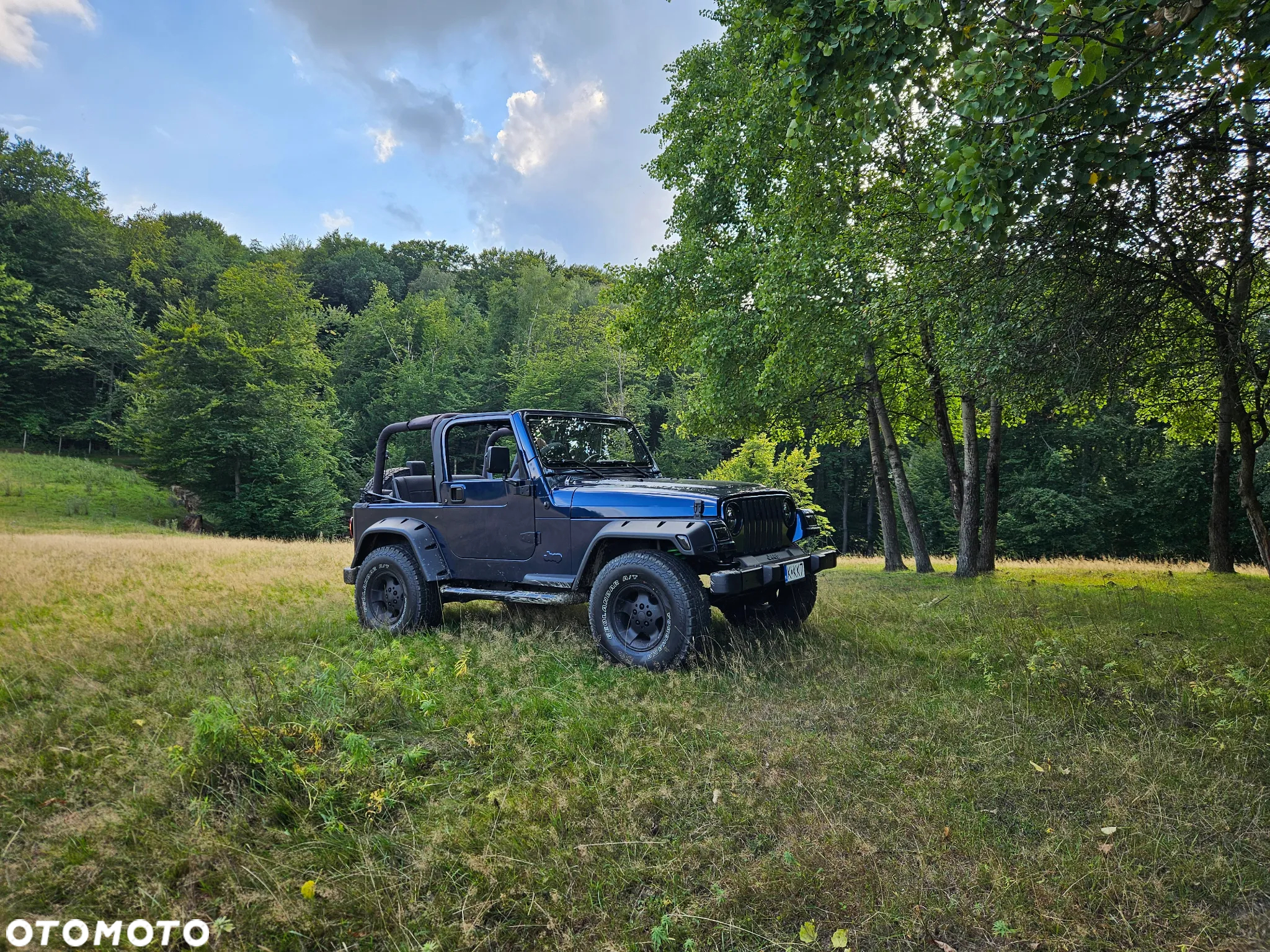 Jeep Wrangler 4.0 Automatik Sahara - 17