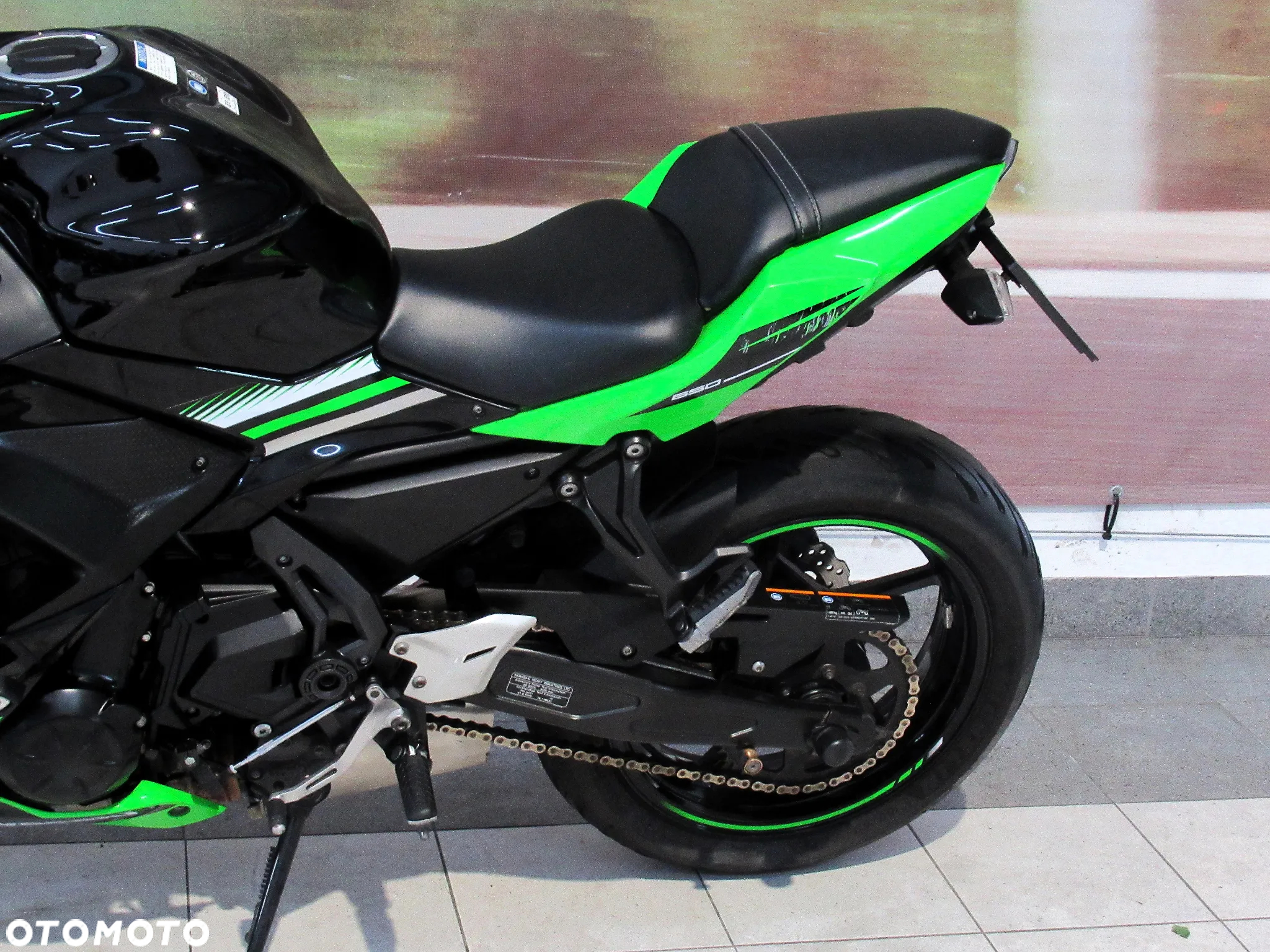 Kawasaki Ninja - 13