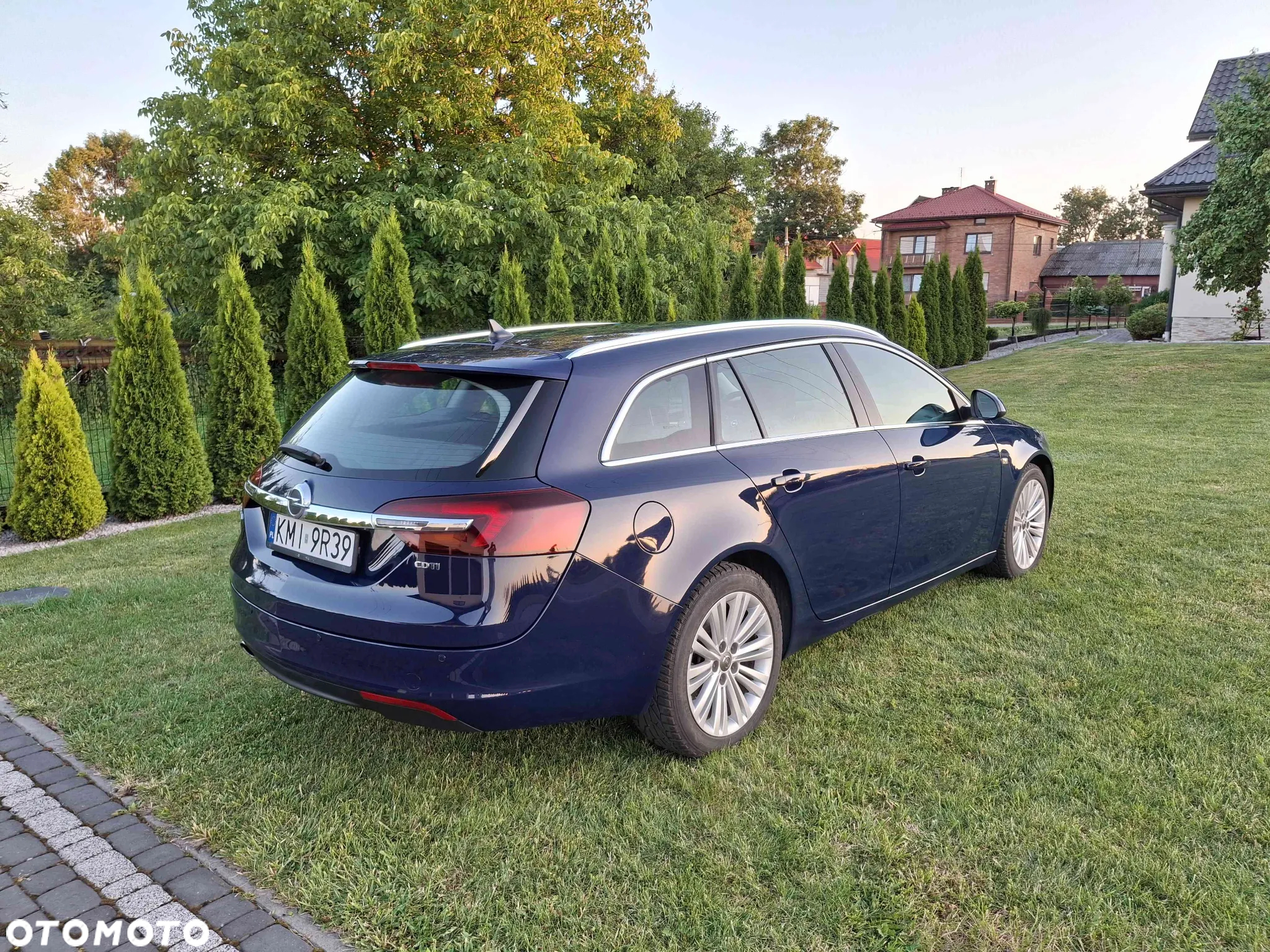 Opel Insignia 2.0 CDTI S&S - 2