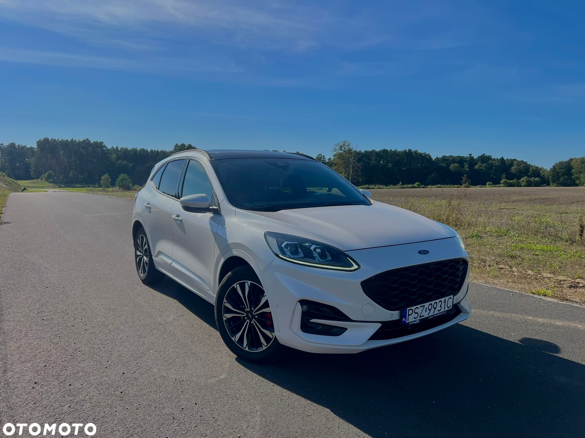 Ford Kuga 2.0 EcoBlue 4x4 ST-LINE - 18