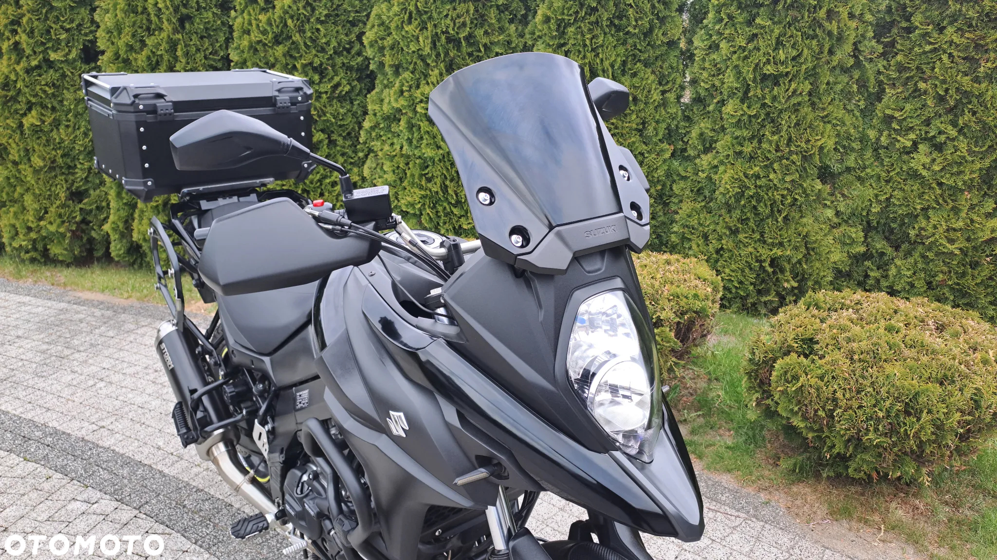 Suzuki DL - 8