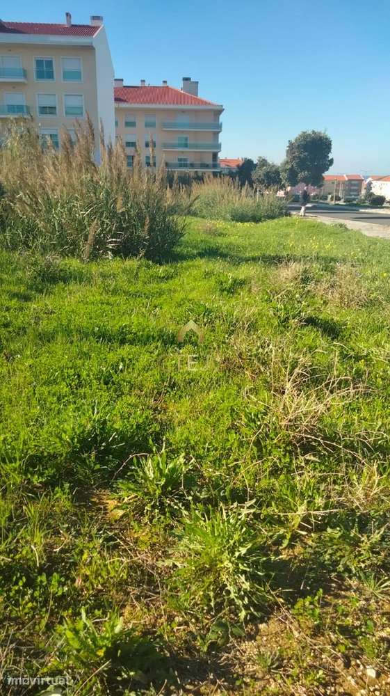 Terreno Urbano para 18 apartamentos - Empreiteiros - Grande imagem: 2/31
