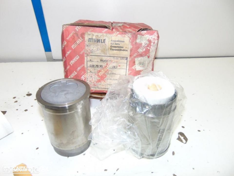 Antigo Peugeot 204 e 304 motor - 1
